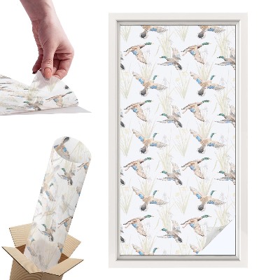 Naklejki witrażowe na drzwi Ptaki natura