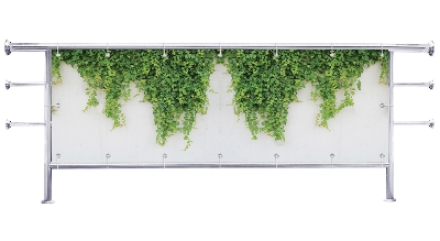 Osłona na balkon Bluszcz na białej ścianie