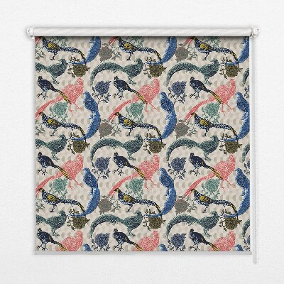 Roleta na okno Kolorowe pawie