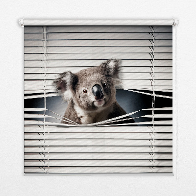 Roleta na okno Koala
